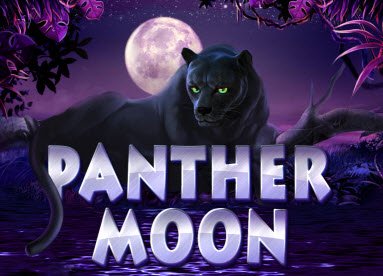 Panther Moon